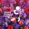 Сайт службы доставки цветов