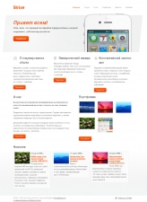 Шаблон «Strive»