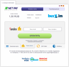 Платежная система для сайта Net Pay