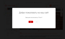 Подтверждение возраста